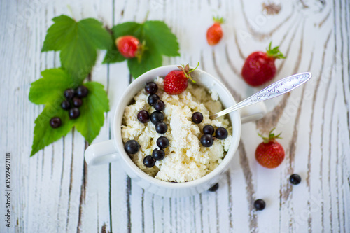 fresh homemade cottage cheese with summer berries