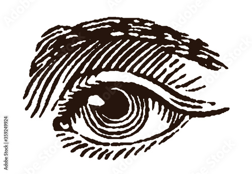 Close-up of a left human eye, after an antique engraving from the 19th century