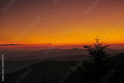 Foggy sunset through forest in Great Smoky Mountains 