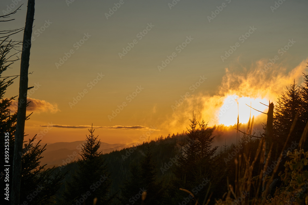 Foggy sunset through forest in Great Smoky Mountains
Foggy sunset through forest in Great Smoky Mountains