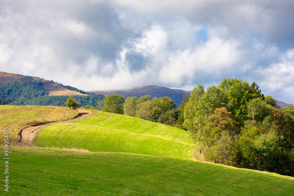 grassy meadow on a sunny day in mountains. beautiful countryside landscape in dappled light. sky with clouds