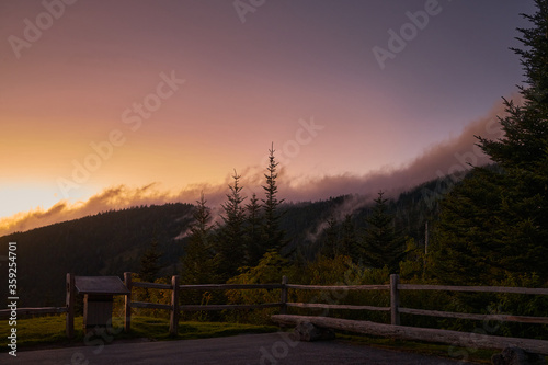 Foggy sunset through forest in Great Smoky Mountains, Tennessee, USA