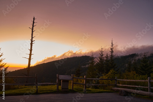 Foggy sunset through forest in Great Smoky Mountains, Tennessee, USA