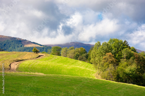 grassy meadow on a sunny day in mountains. beautiful countryside landscape in dappled light. sky with clouds