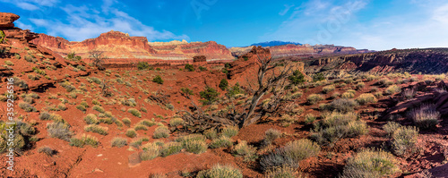 Panorama view of rock strata in Capital Reef national park in springtime