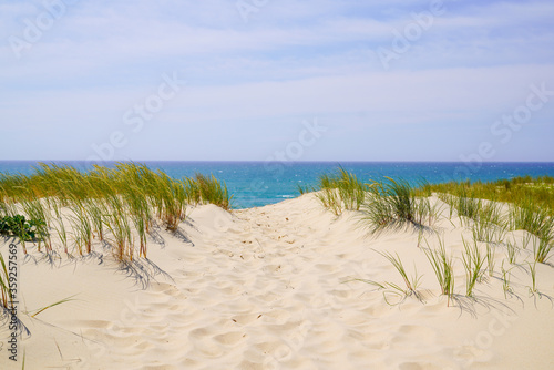 natural dune access to sand beach of le porge in atlantic ocean France