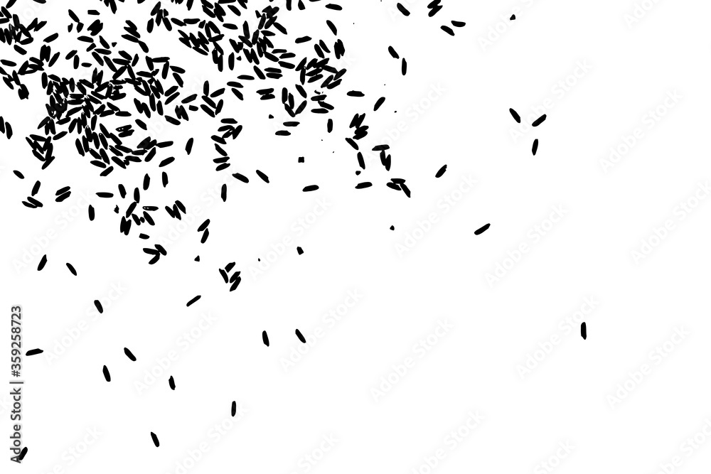 Fototapeta premium Concept of simple rice grain random thrown pattern on background from top view. Traditional wealth and happiness symbol illustration. Vector.