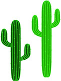 Green Saguaro Cactus