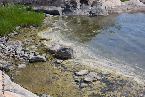 A polluted beach, or musty algae and pollen