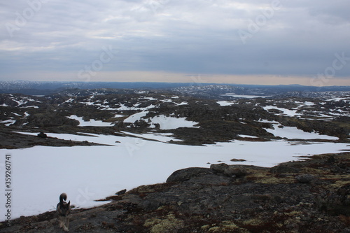 mountains under the snow