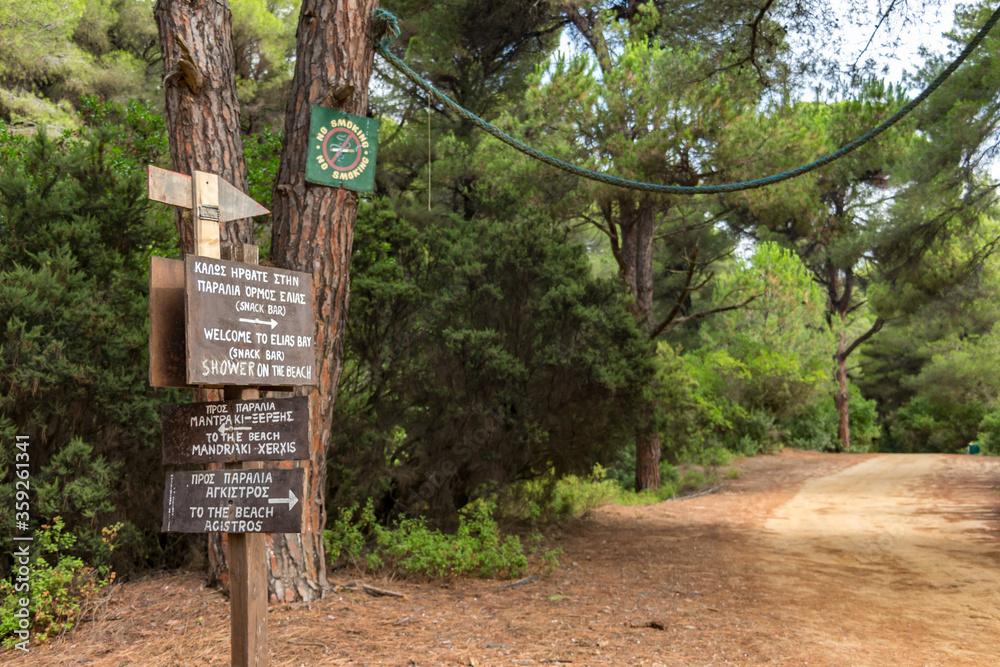 Beautiful pine tree forest path leading to several beaches on Skiathos Island, Sporades, Greece. Road signs to the beaches. Island is a popular tourist destination for both local and foreign tourists.