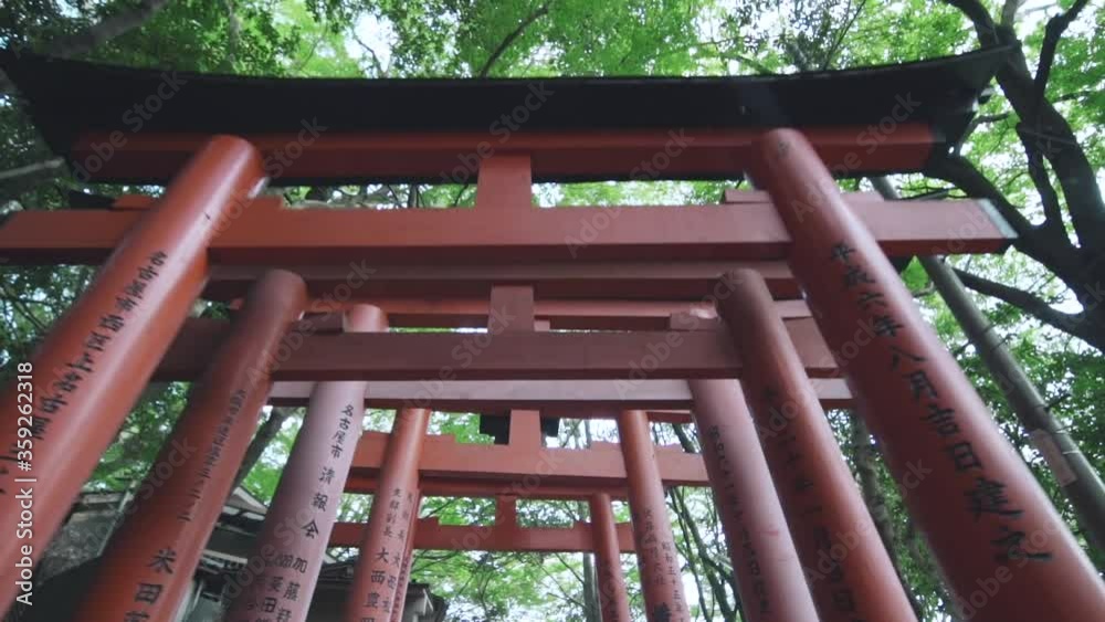 Walking Through The Tori Gates Of The Famous Fushimi Inari Taisha In Kyoto, Japan - backward wide shot Walking Through The Tori Gates Of The Famous Fushimi Inari Taisha In Kyoto, Japan - backward wide shot