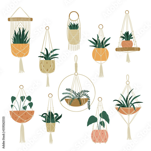 Set of macrame hangers for plants growing in pots.