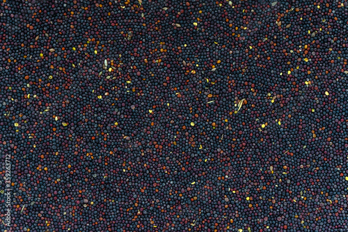 Fotografie Rapeseed seeds lie firmly on a flat surface.
