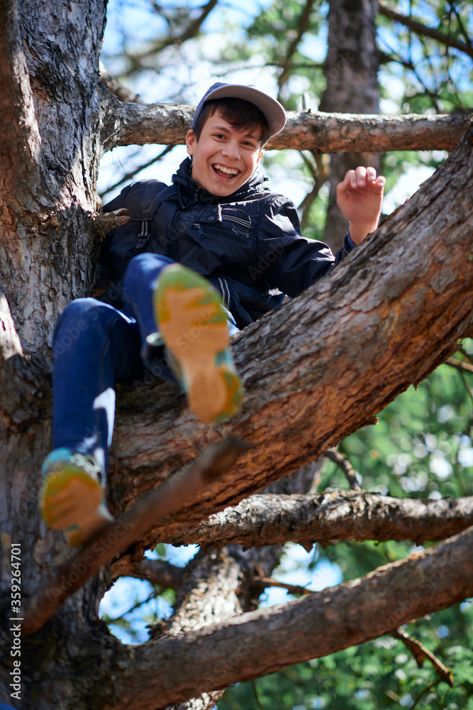 Teenage boy playing outdoor, climbing a tree, bright sunlight, beautiful day Teenage boy playing outdoor, climbing a tree, bright sunlight, beautiful day