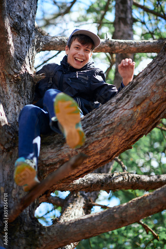 Teenage boy playing outdoor, climbing a tree, bright sunlight, beautiful day