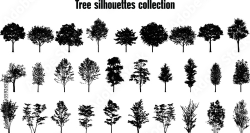 Trees silhouette collection. Set of 29 trees. Vector