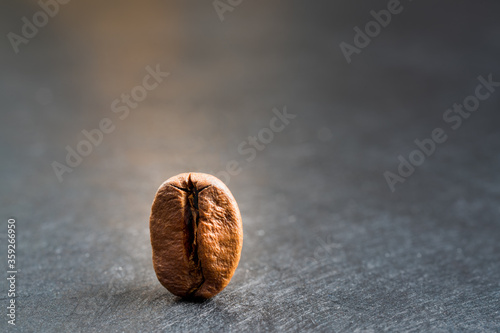 Close up of a roasted coffee bean isolated on slate background. Orange light illuminated the standig up bean. copy space for text photo