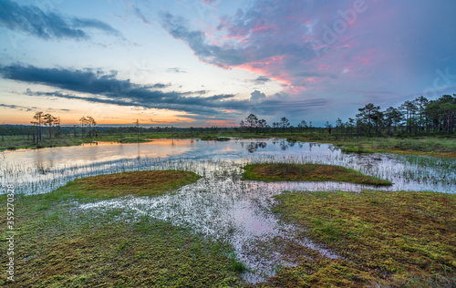 Sundown rose-pink light in raised bog. Konnu Suursoo (Korvemaa) wetland in Estonia. Sunset glow over marsh hollows.  Symmetry created by reflection of trees and colorful clouds in moorland lake. Dusk.
