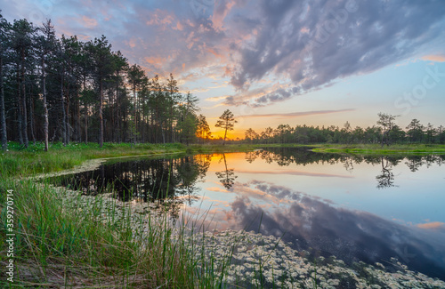 Sundown rose-pink light in raised bog. Konnu Suursoo (Korvemaa) wetland in Estonia. Sunset glow over marsh hollows.  Symmetry created by reflection of trees and colorful clouds in moorland lake.
 photo