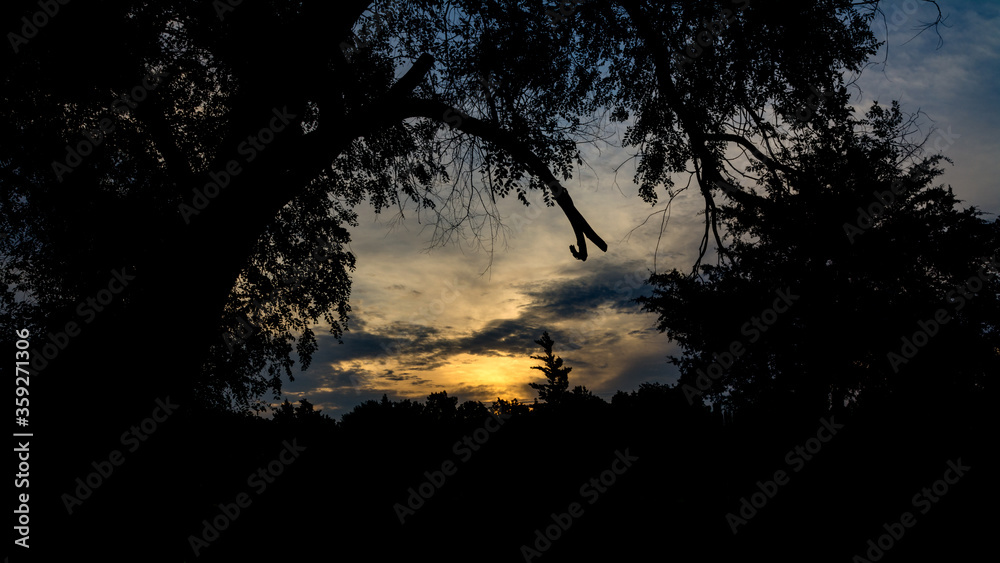 Silhouette of trees frame a colorful sunrise Silhouette of trees frame a colorful sunrise