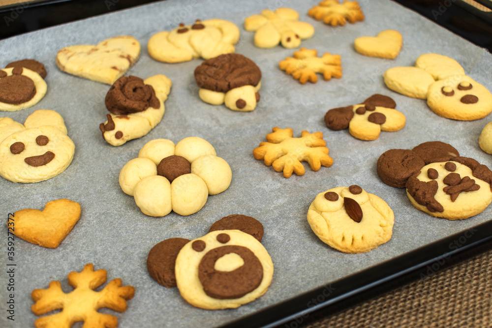 homemade cookies in the shape of dog, heart, elephant, butterfly, snowflake, slug, turtle, heart, rabbit, chamomile and owl in the tray. animal shaped cookies made for children.