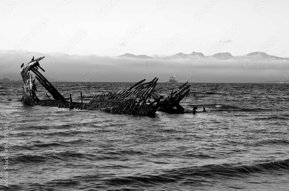 cormorant birds sitting on a wooden ship wreck in a fjord with mountains shrouded in thick fog black and white