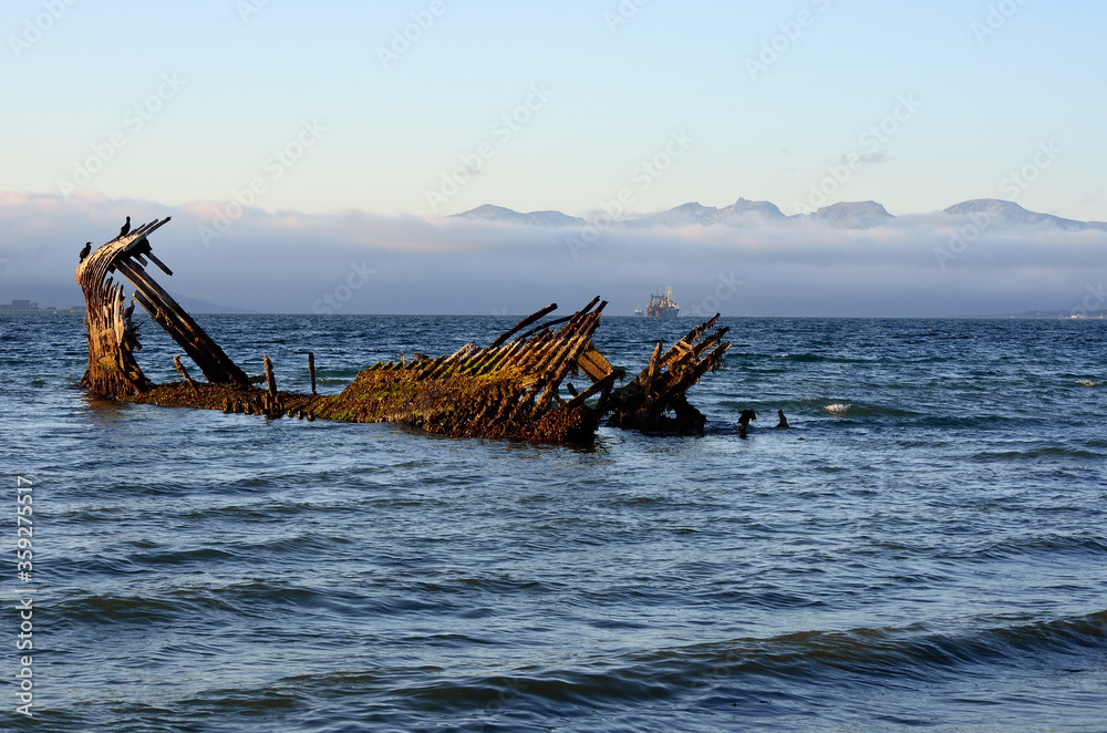 cormorant birds sitting on a wooden ship wreck in a fjord with mountains shrouded in thick fog cormorant birds sitting on a wooden ship wreck in a fjord with mountains shrouded in thick fog