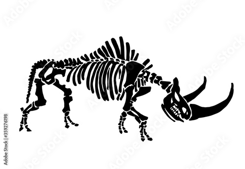 Vector illustration of woolly rhino skeleton  isolated on white,graphical fossils,paleonthology photo