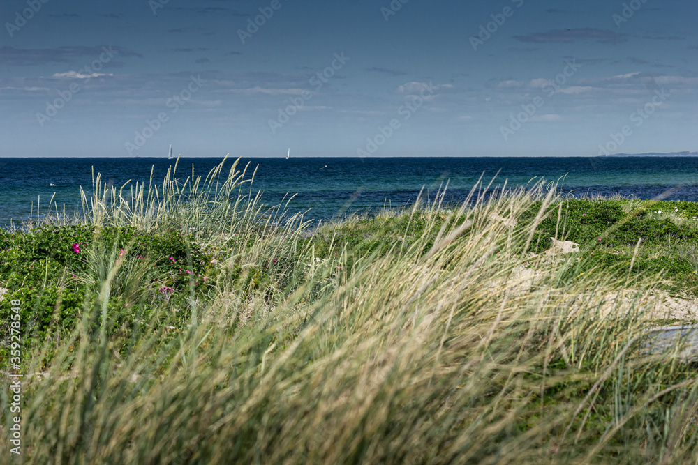 Beach with grass in Tisvildeleje, North Zealand (Sjælland), Denmark Beach with grass in Tisvildeleje, North Zealand (Sjælland), Denmark