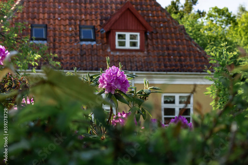A local house in Tisvildeleje, North Zealand (Sjælland), Denmark
