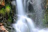 small beautiful fresh water mountainn creek waterfall in summer