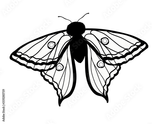 Butterfly Graellsia isabellae in black and white. Coloring.  Drawing isolated on white background. Stock vector illustration. photo