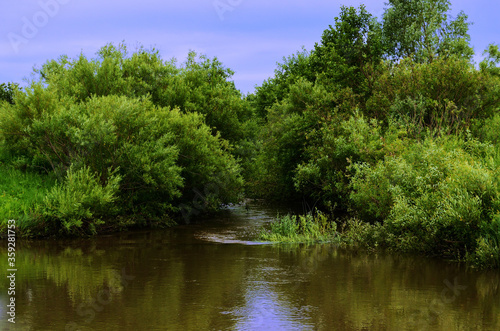 a small river in trees far from the city
