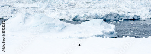 Ice in Antarctica © Anton Ivanov Photo