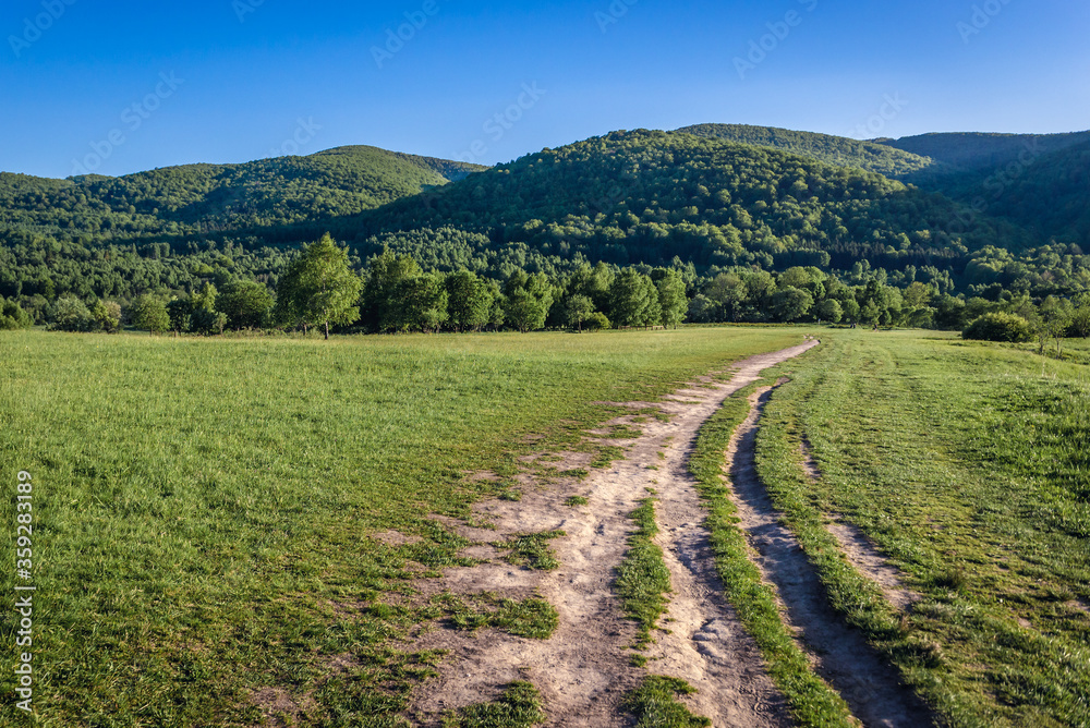 Path to Tarnica peak in Bieszczady National Park in Bieszczady mountain range in Subcarpathian Voivodeship of Poland Path to Tarnica peak in Bieszczady National Park in Bieszczady mountain range in Subcarpathian Voivodeship of Poland