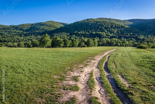 Path to Tarnica peak in Bieszczady National Park in Bieszczady mountain range in Subcarpathian Voivodeship of Poland