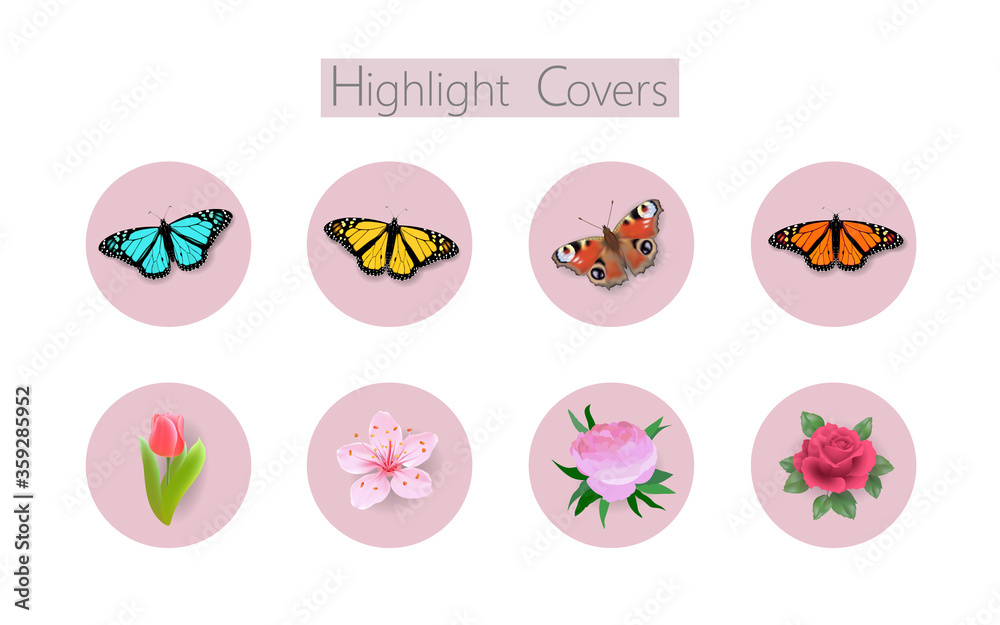 3D realistic Monarch peacock butterfly social media cover. Highlights stories flower rose tulip template. Summer travel theme concept vector illustration