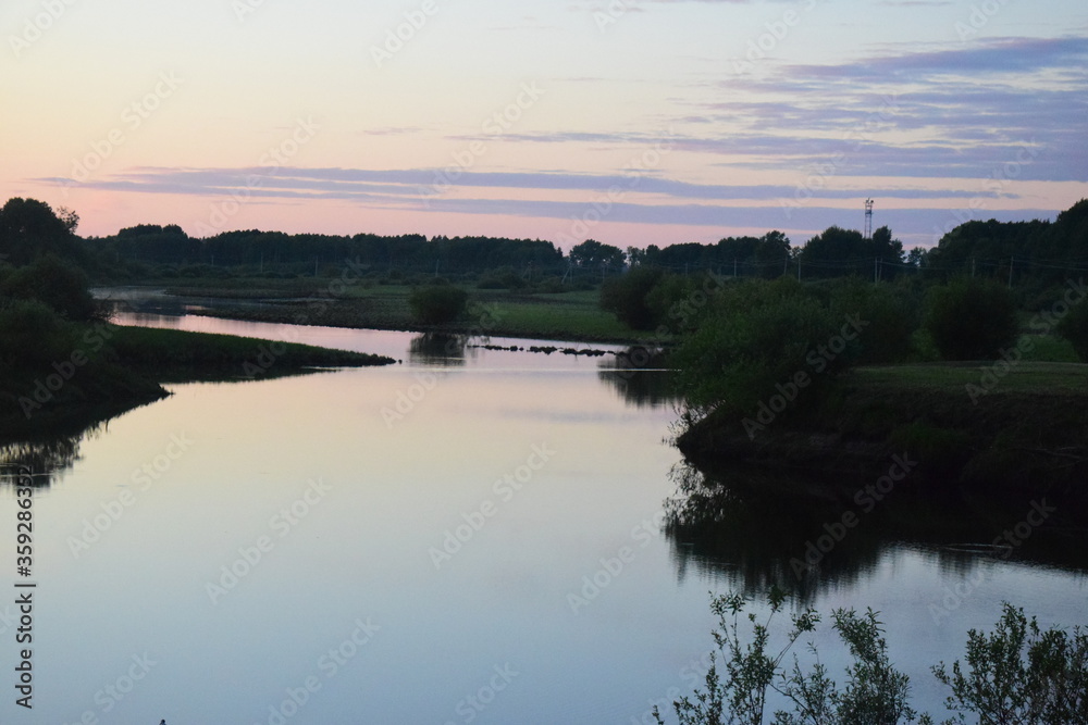 Fototapeta premium riverbank close-up at sunset