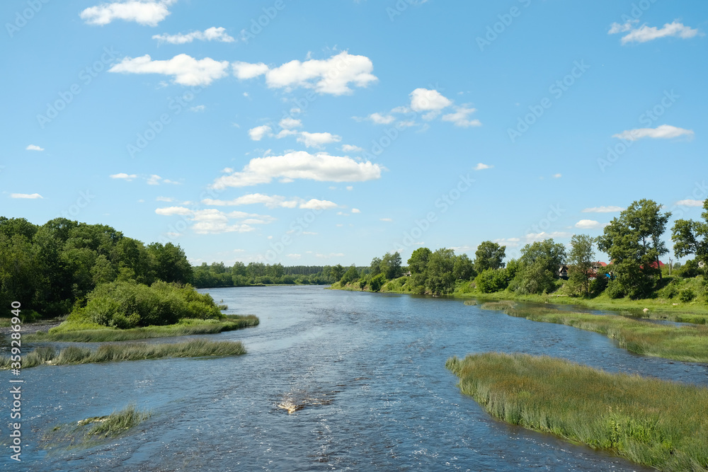 
summer landscape overlooking the river and thickets