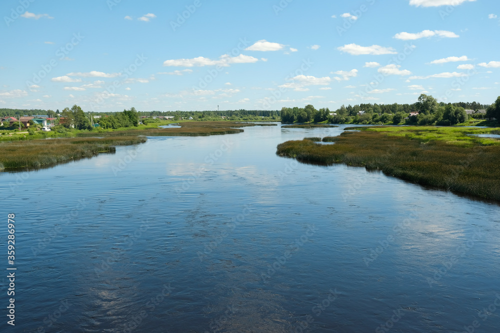 
summer landscape overlooking the river and thickets