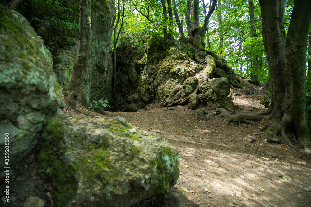 Vasas-szakadek, famous Hungarian cave, chasm and excursion site.