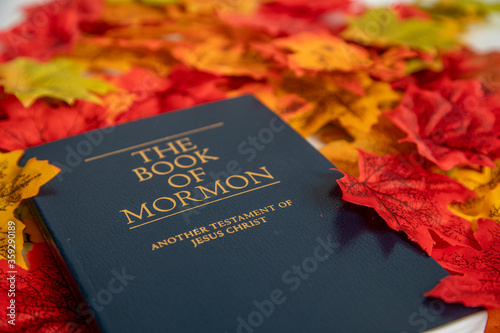 The Book of Mormon in a Background of Leaves.  photo