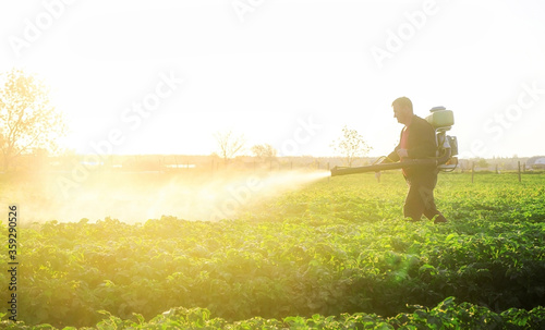 A farmer sprays a solution of copper sulfate on plants of potato bushes. Use chemicals in agriculture. Agriculture and agribusiness, agricultural industry. Fight against fungal infections and insects.