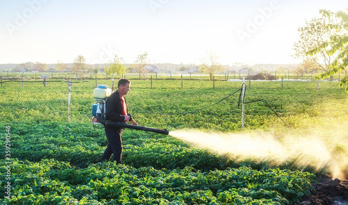 A farmer sprinkles a potato plantation with an antifungal chemical. Use chemicals in agriculture. Agriculture and agribusiness, agricultural industry. Fight against fungal infections and insects. photo