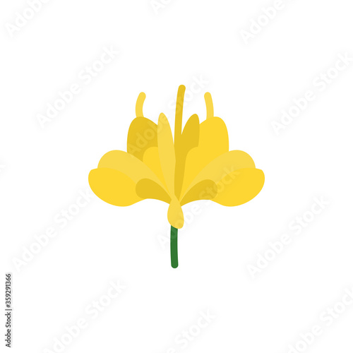 Valokuva Safflower flower icon
