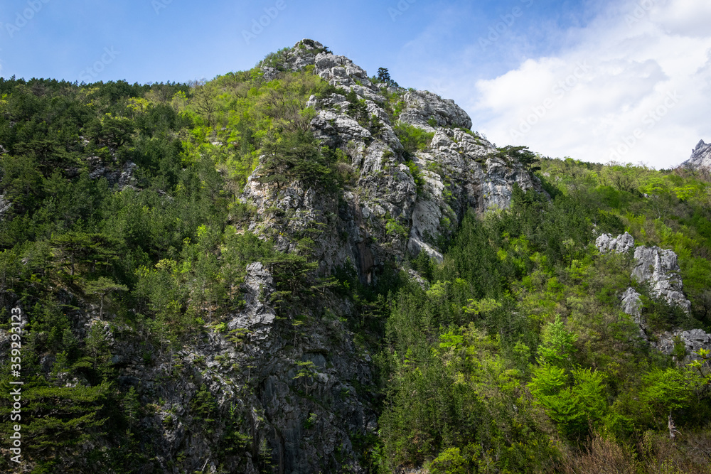 Mountain peak with trees in Paklenica National Park. Croatia, 28th April 2015.