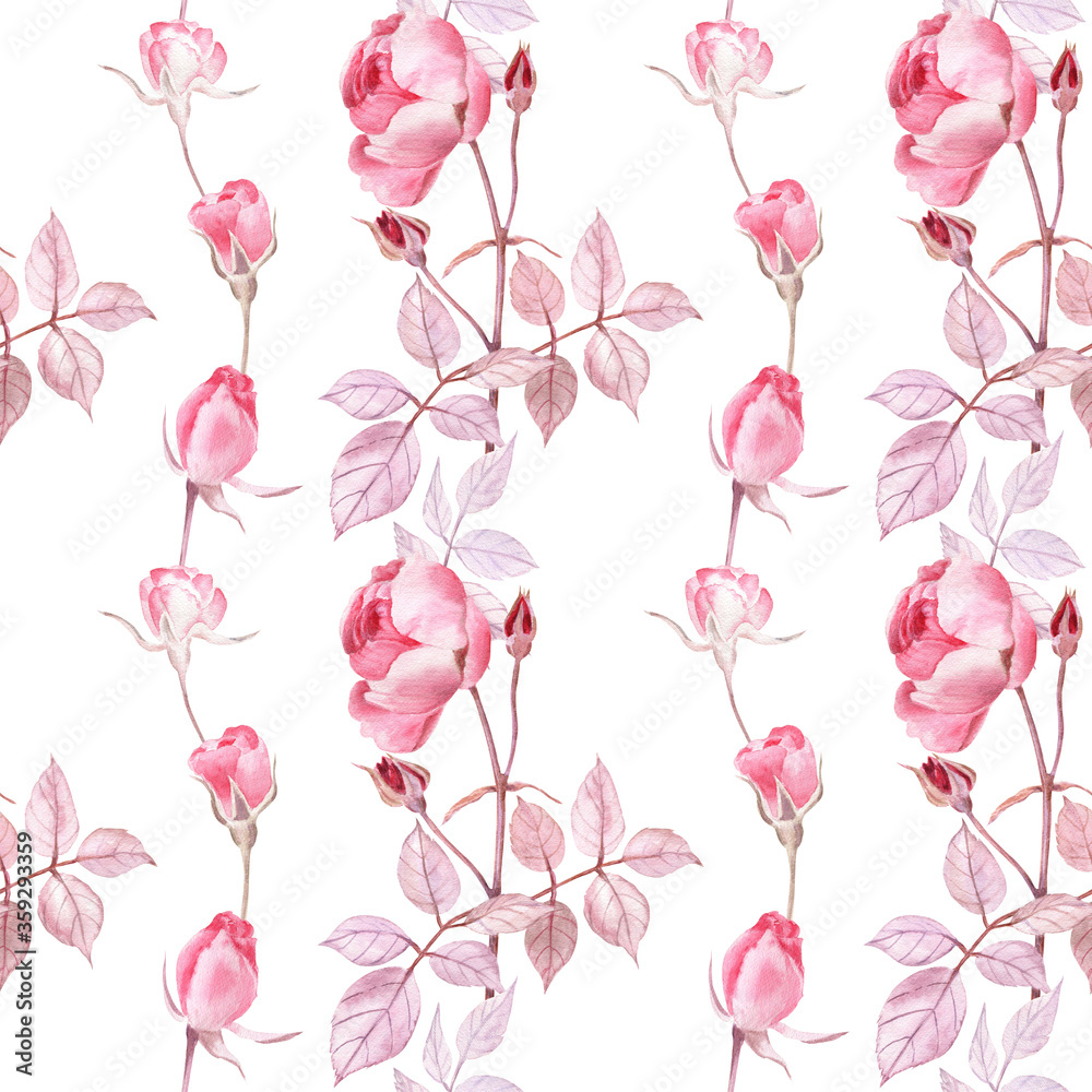 Fototapeta Seamless pattern with rose branch and rose buds on a white background. Interesting vertical composition and romantic soft color range. Watercolor illustration.