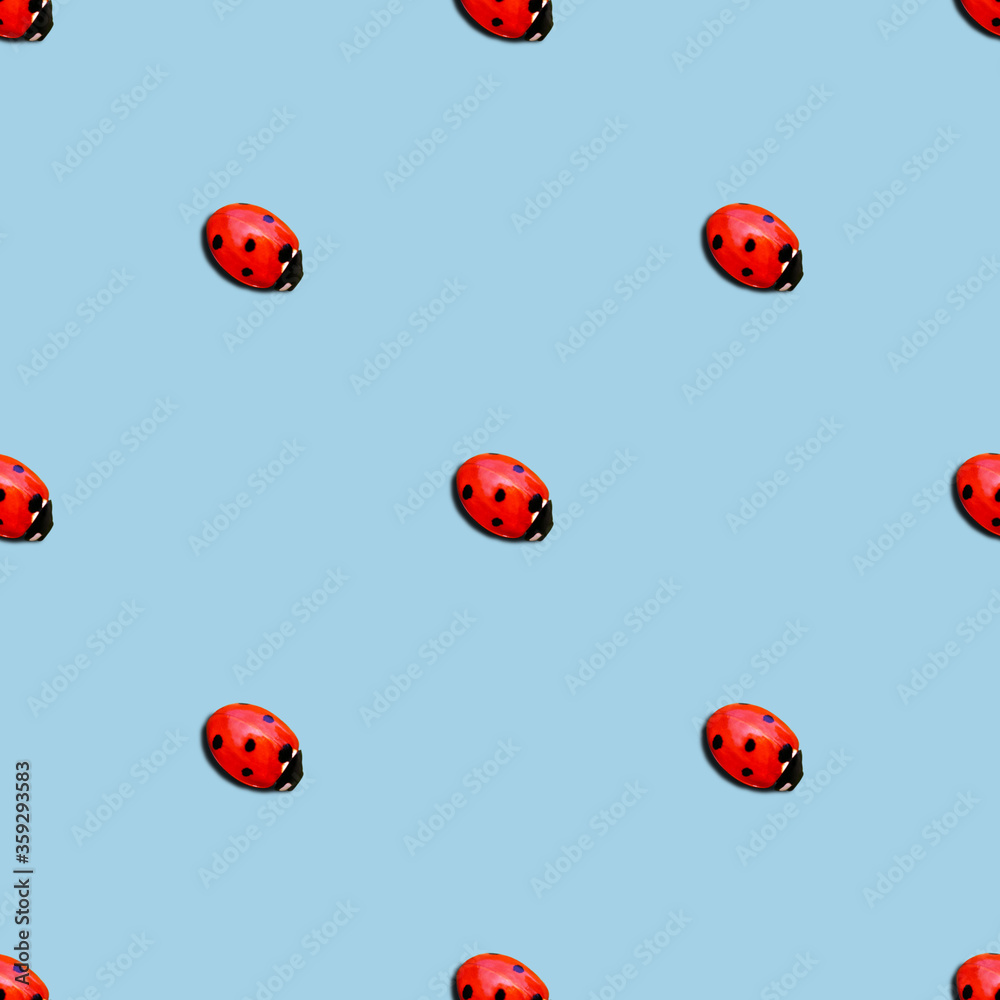 Obraz premium ladybug or ladybird seamless pattern isolated over blue background. minimal summer concept.