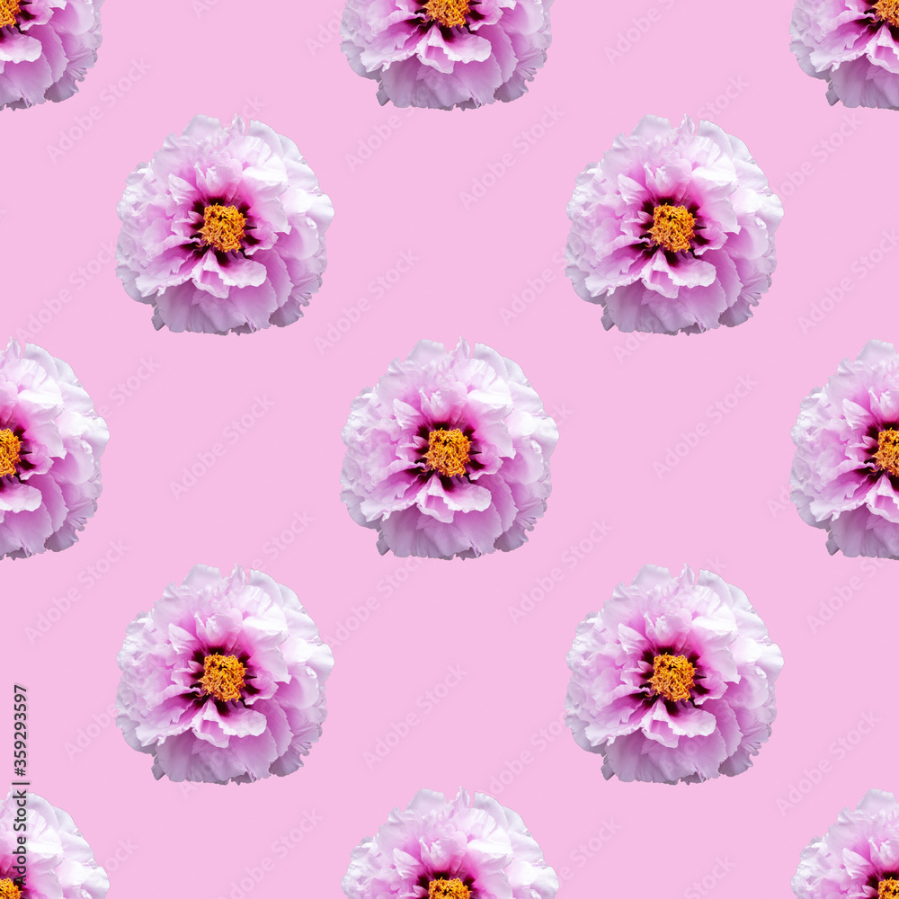 peony flower seamless pattern over pink pastel background. summer minimal concept peony flower seamless pattern over pink pastel background. summer minimal concept